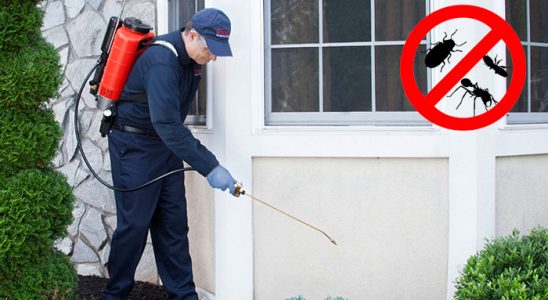 Almus Hamam Böceği İlaçlama böcek ilaçlama ve haşere kontrolü — ilaclama-tr.com